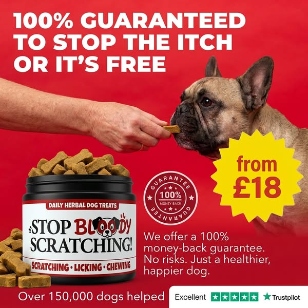 STOP BLOODY SCRATCHING