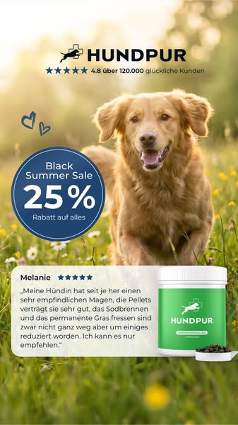 Jetzt 25% sparen