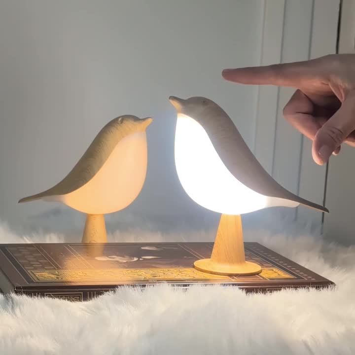 Une Lumière Qui S’Adapte à Vos Envies