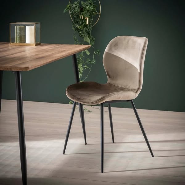 Exklusive Esszimmerstühle | Elegantes Design & Komfort