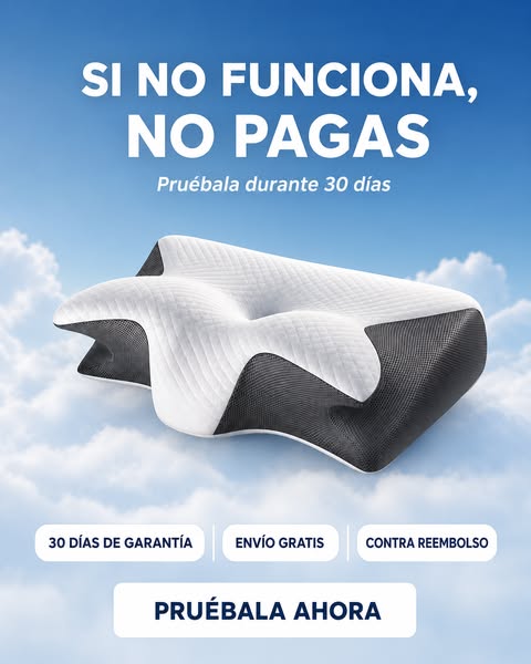 Si no funciona, no pagas