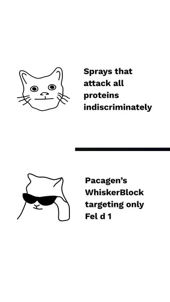 Targeted Relief for Cat Allergies