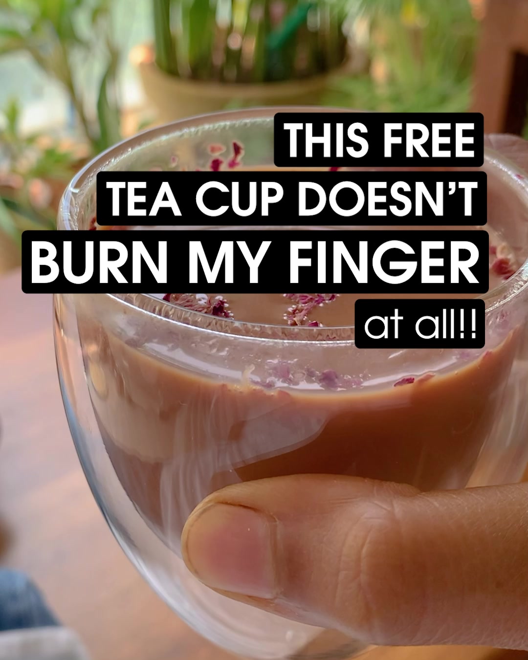 Free Double Walled Tea Cup