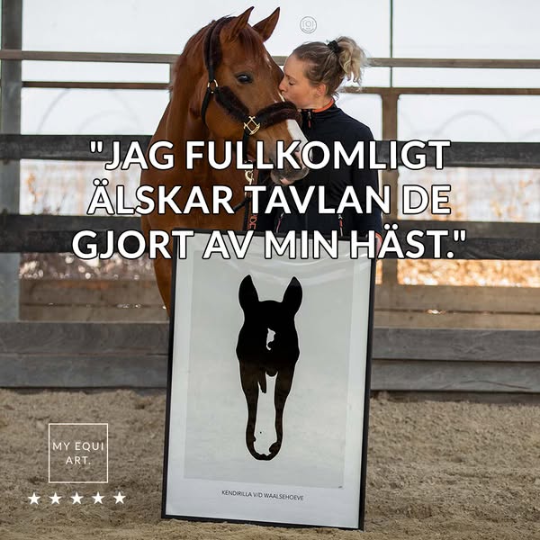 Din häst är ett mästerverk!