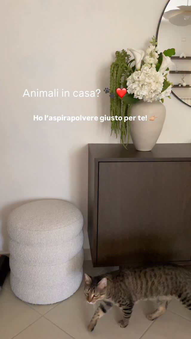 Anúncio de Tineco Italia