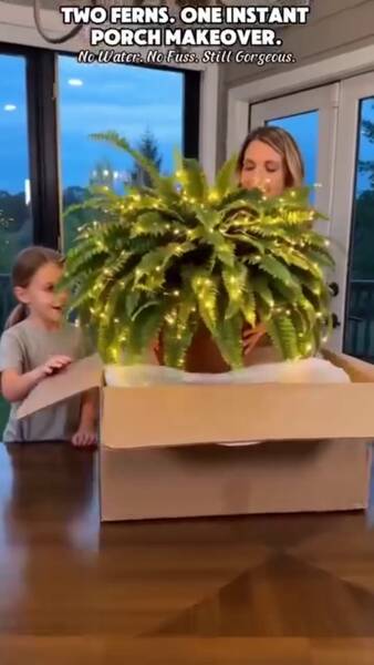 Envío gratisPago contra entrega