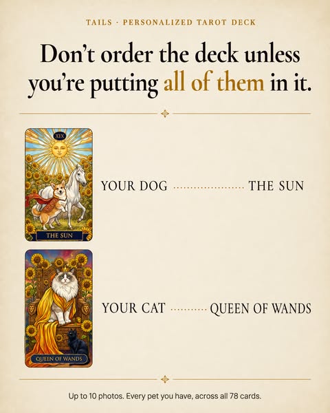 Put all of them in it