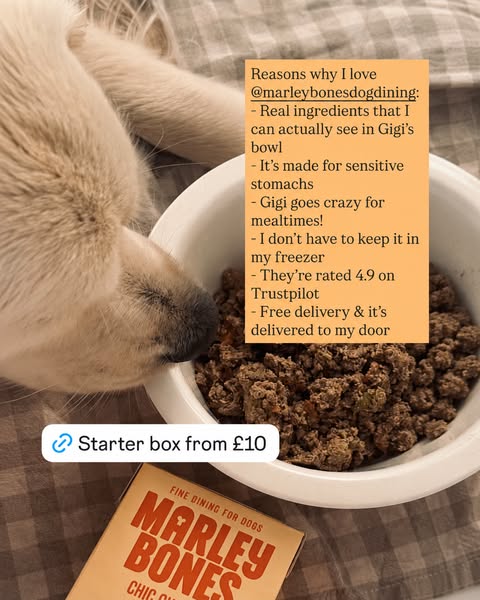 Get 40% off your Starter Box!