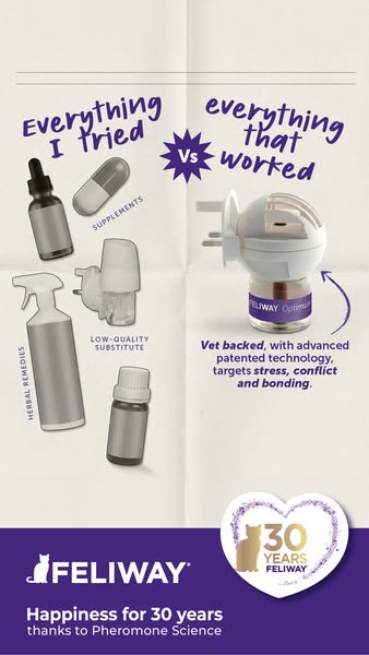 Discover cat calm with FELIWAY