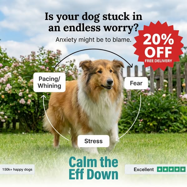 Calm Your Dog NATURALLY