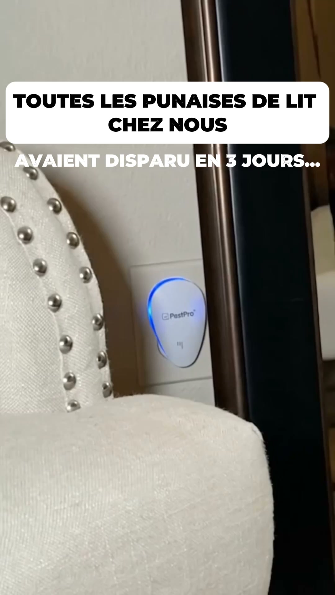 Dites enfin adieu aux punaises de lit