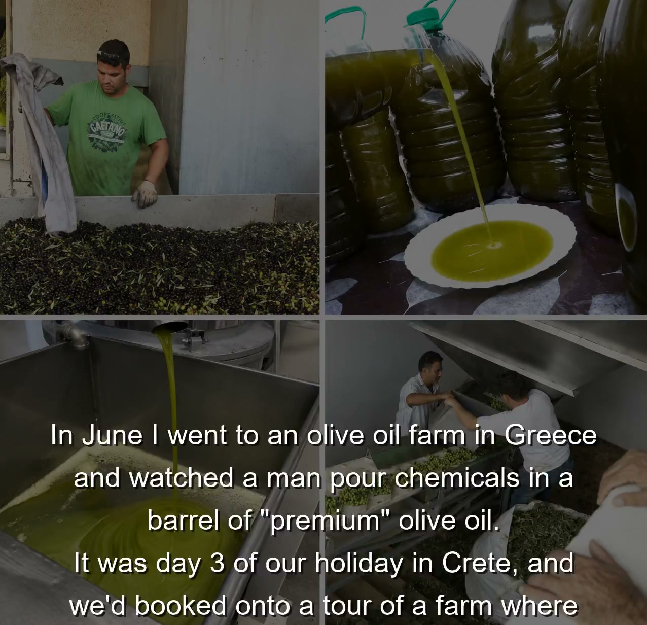 Tonia Buxton EXPOSES Britain's Olive Oil Fraud