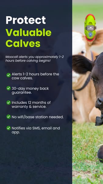 Ploughing Sale now LIVE!