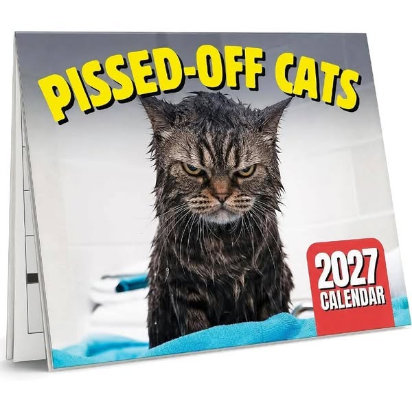 O criativo por trás: 2027 Wall Calendar Collection Funny, Quirky & Seriously Cute — Find Your Perfect Calendar for 2027