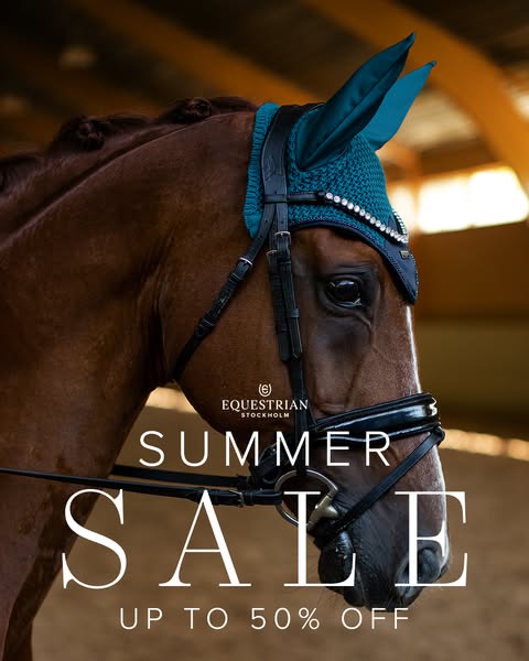 Summer Sale Is Here