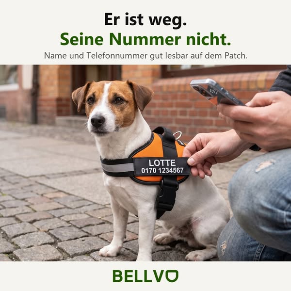 50 % Rabatt auf das Bellvo-Geschirr