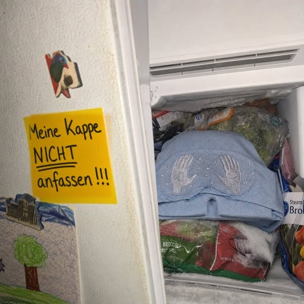 Lies das, wenn dein Gefrierfach nicht nur fürs Essen ist