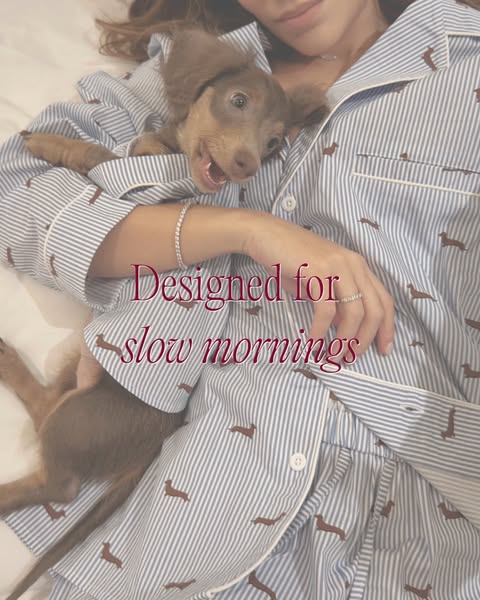 Tailored for dachshunds and their owners