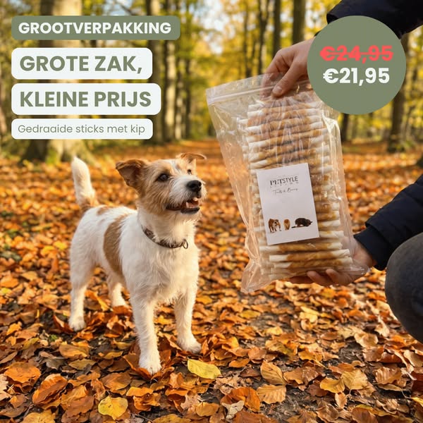 Grote zak, kleine prijs