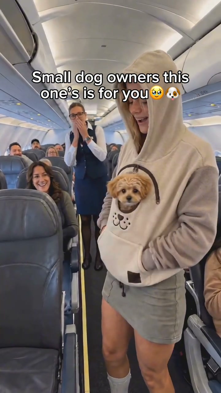 Cozy Pet Carrier Hoodie — Built-In Pouch for Cats & Small Dogs