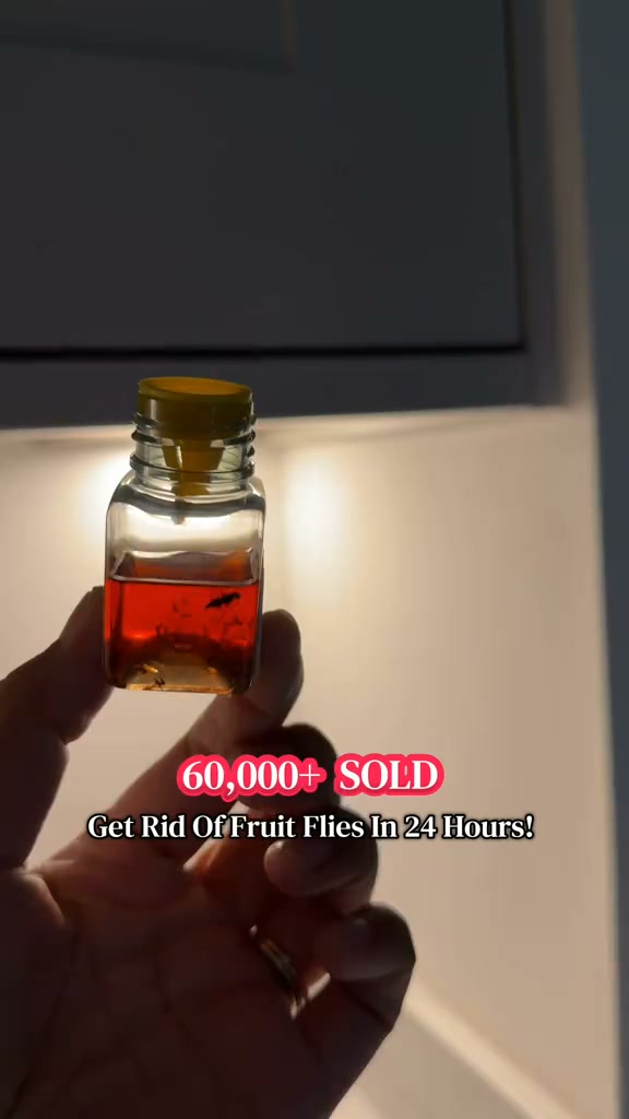 Ultra-Strong Fruit Fly Trap - User Friendly