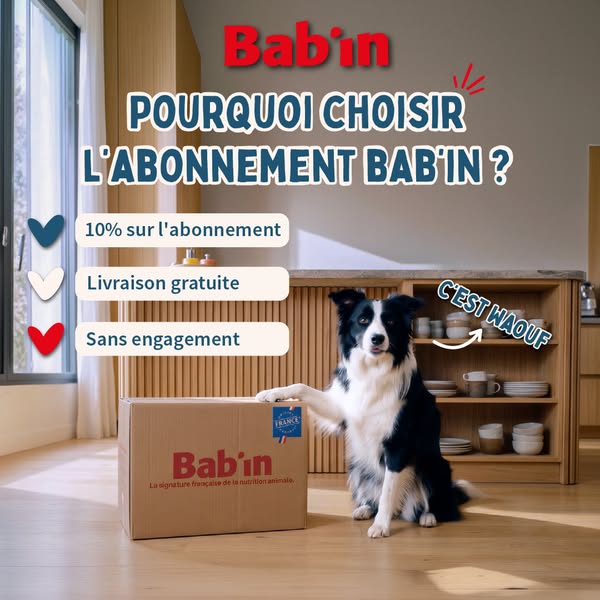 94% des chiens nous adorent