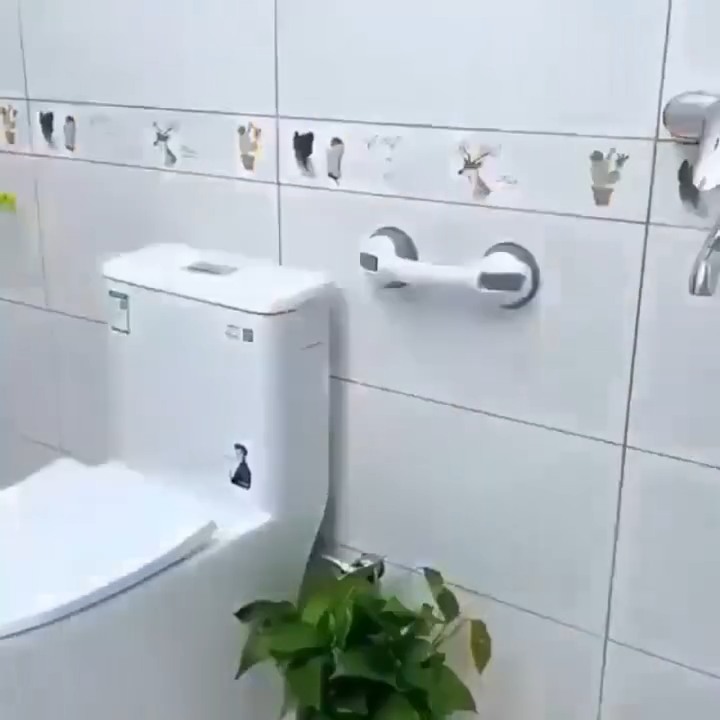 Support Handle