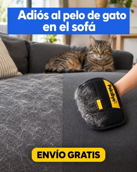 Adiós al pelo de gato en el sofá