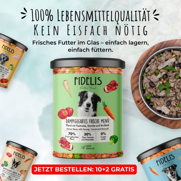 Teste jetzt unsere neuen Frische Menüs