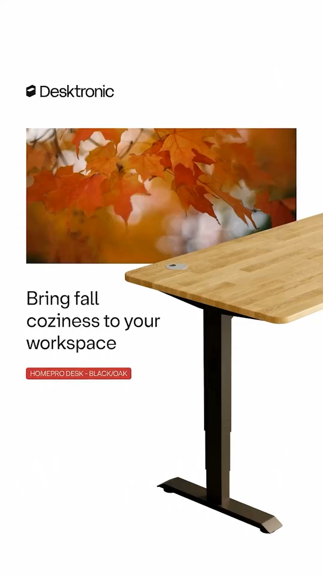 The desk for autumn evenings