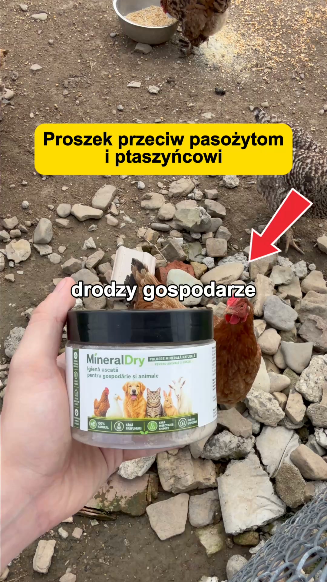 3+1 GRATIS – Przywróć produkcję jaj!