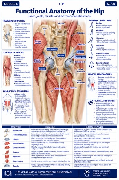 Click below and discover the 120 Visual Maps of Muscle Anatomy.
