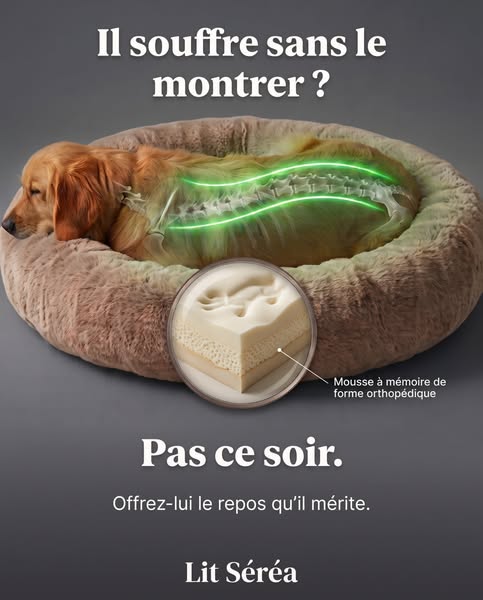Lit orthopédique pour chien