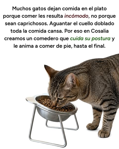 No es la comida. Es el comedero.