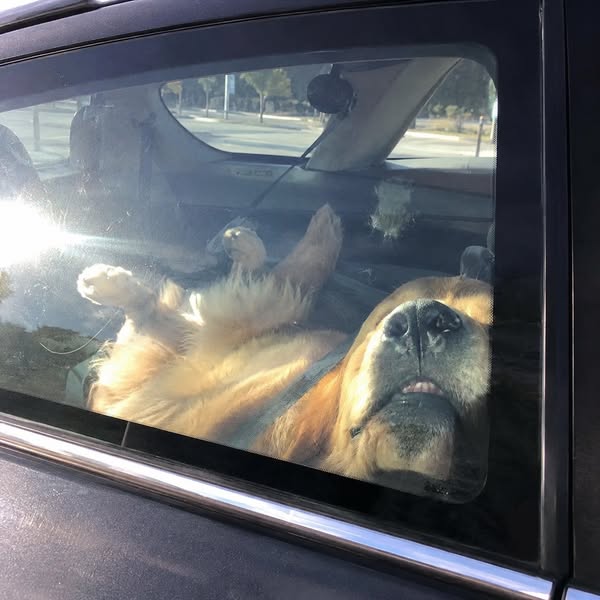 Car Door Won't Open?