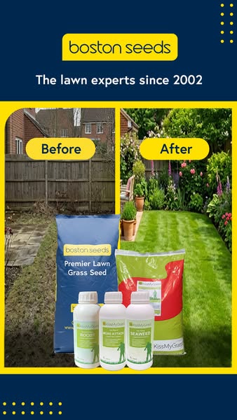 Get Professional Results with Expert Lawn Care