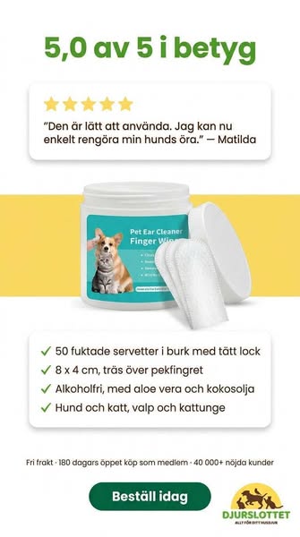 Beställ TailCare för öronvård