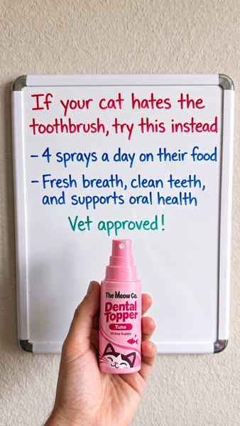 Nobody budgets for the dental quote