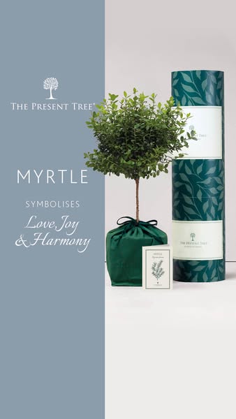 Tree & Plant Gifts | The Present Tree | Nominated Date Delivery