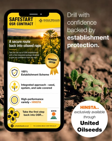 HINSTA - Variety overview Oilseed Rape - Oilseed Rape - Products- KWS UK Ltd.