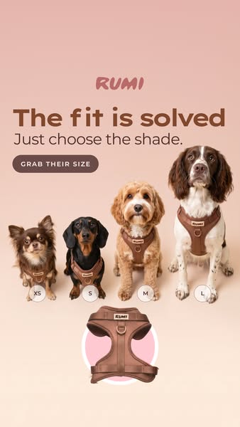 Shades You'll Actually Want