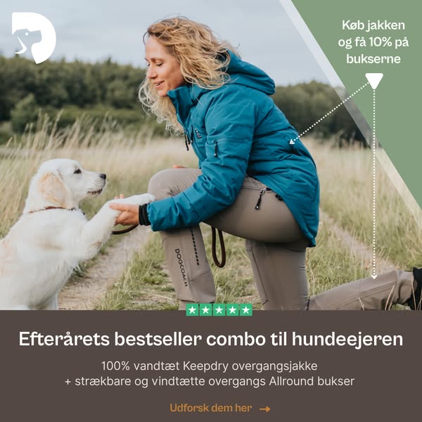 Designet til hundelivet. Stylet til hverdagen.