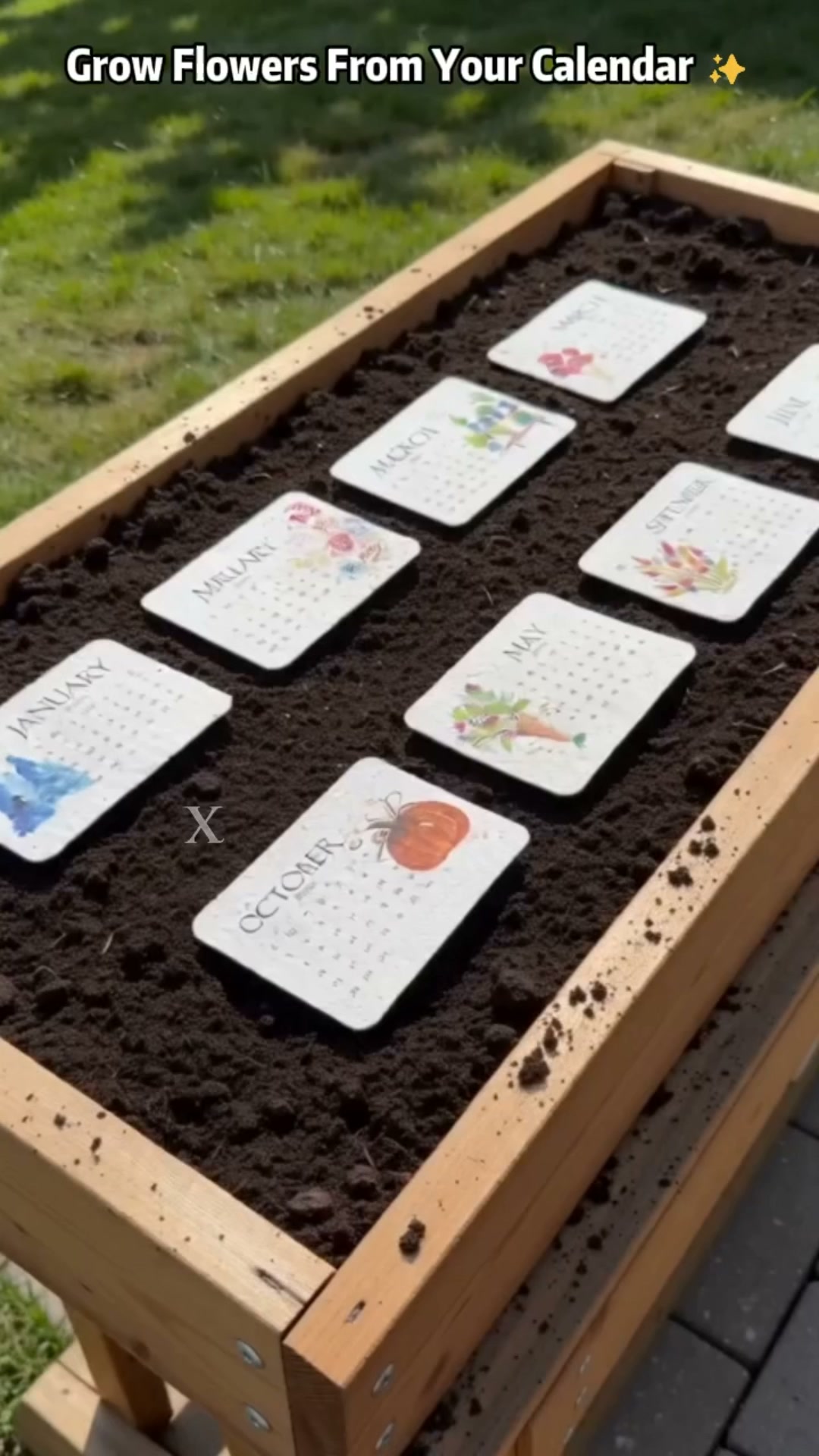 Anúncio de PetalPocket Seeds