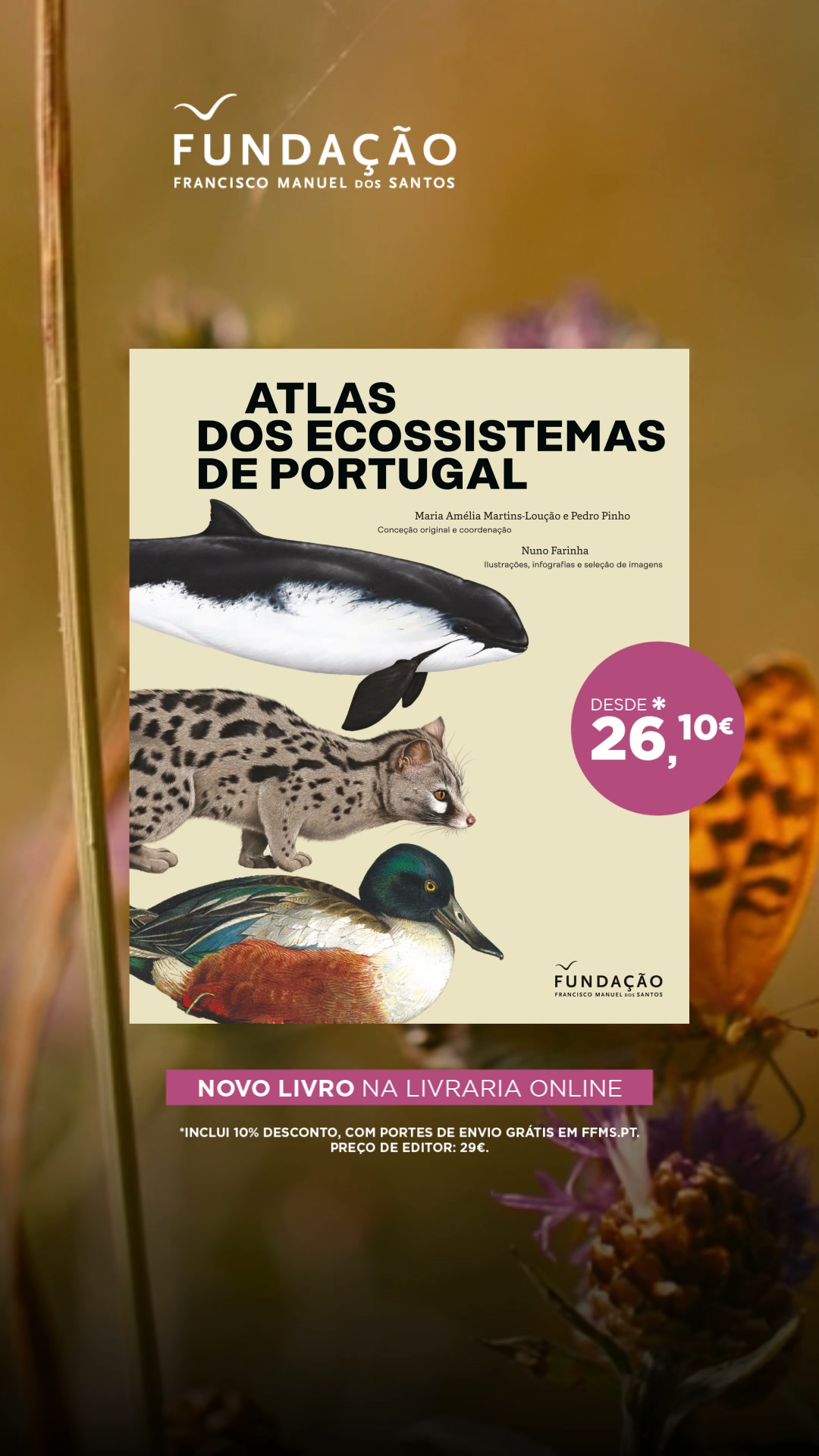 Novo livro