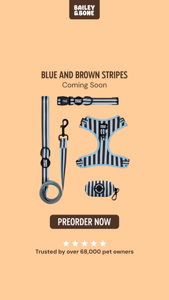 Pre-order: Blue And Brown Stripes