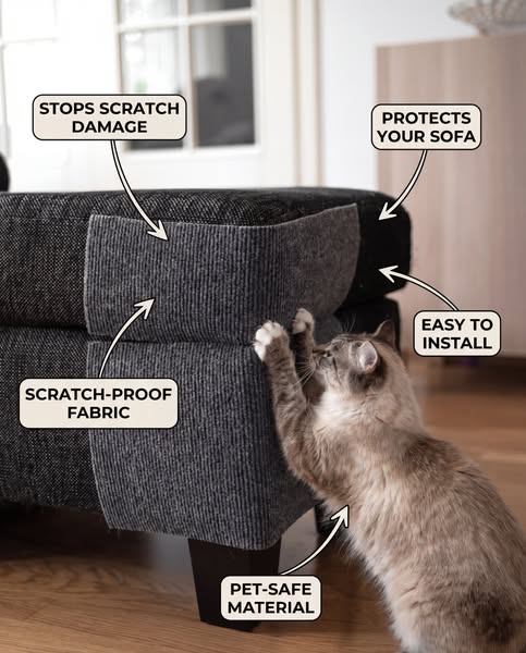 Trusted by Cat Lovers, Loved by Kitties!