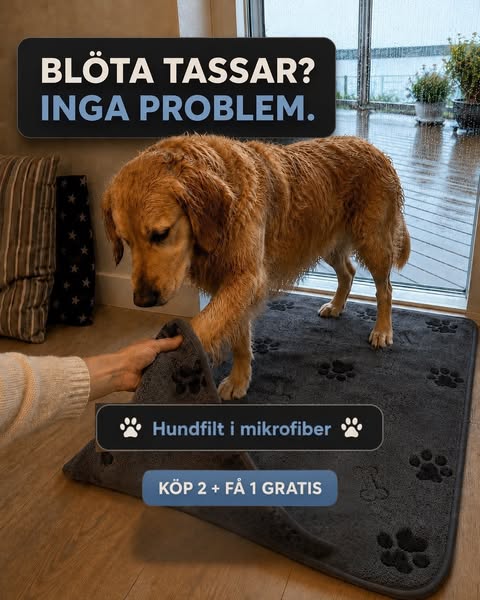 Blöta tassar? Inga problem.