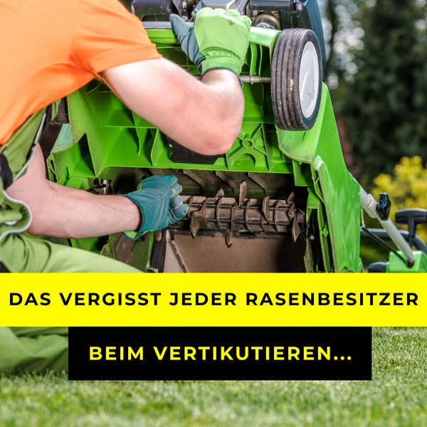 Zum perfekten Herbstrasen!