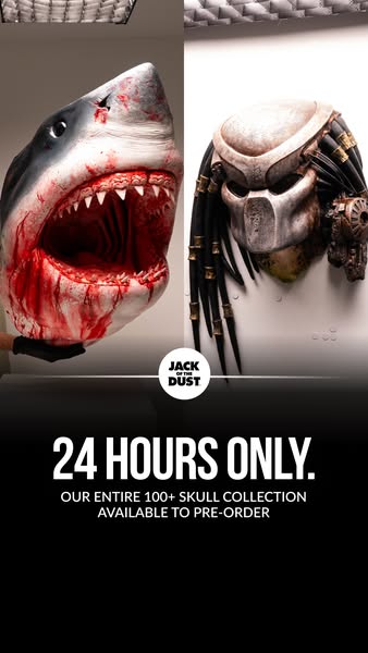 24 HOURS TO PRE-ORDER YOUR SKULL