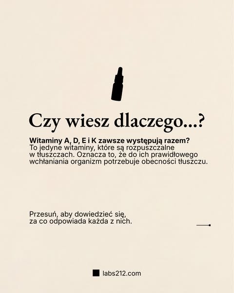 Strona główna